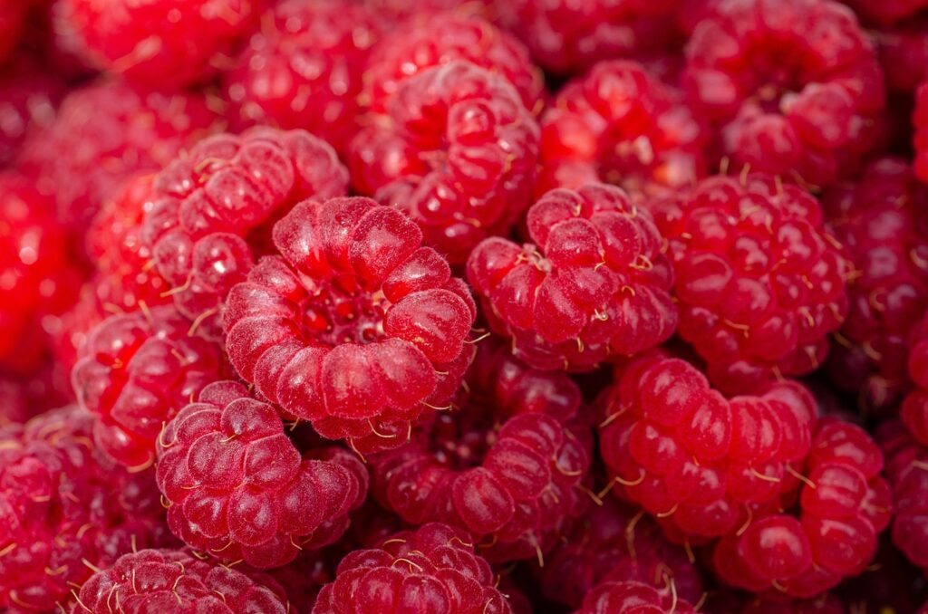 Plusieurs framboises dans une pile